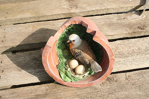 birds_nest_in_flower_pot