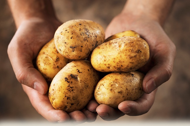 www.potatoes.com