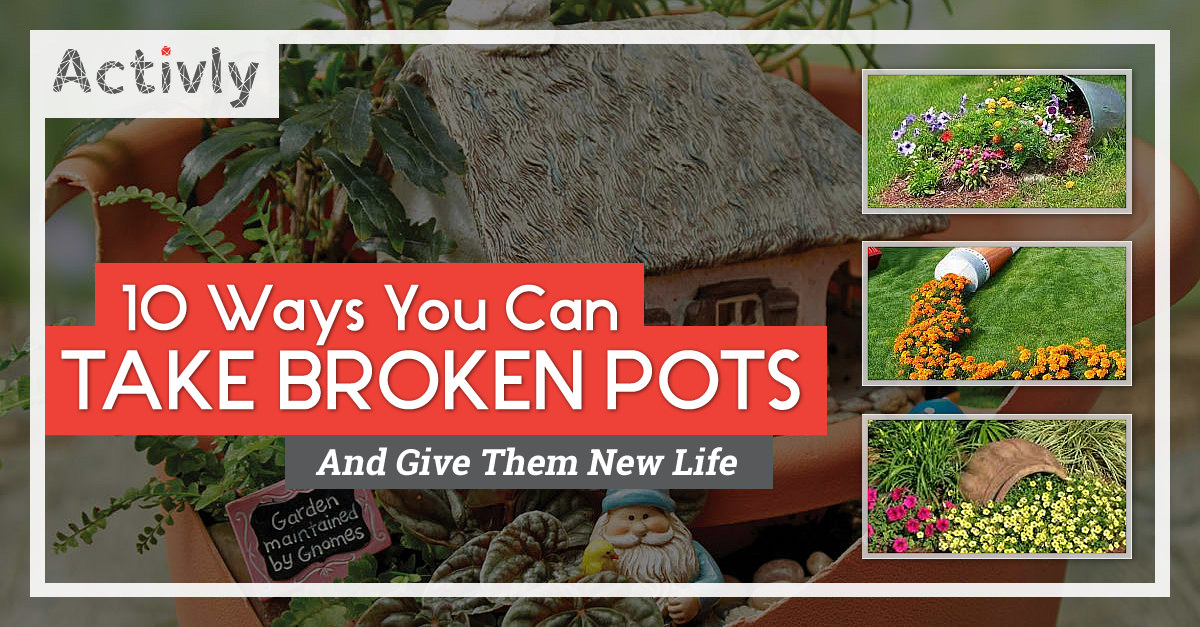 broken pots and new life