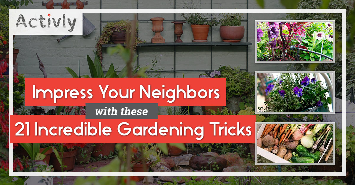 gardening tricks