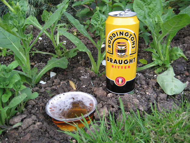 flickr.com beer kills slugs