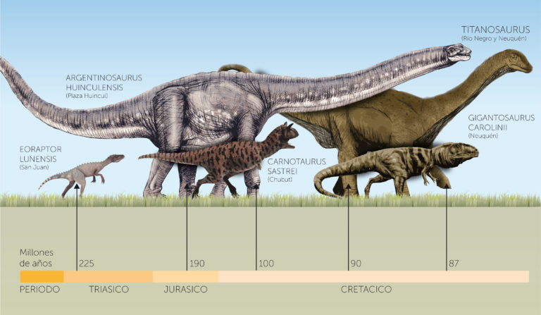 The 30 Dinosaur Facts You Want To Know – Page 19 – Activly